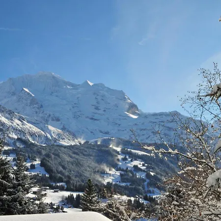 Apartment Apartment Goldenhorn Apt-F By Interhome Wengen