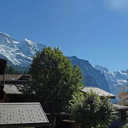 Apartment Goldenhorn Apt-F By Interhome * Wengen