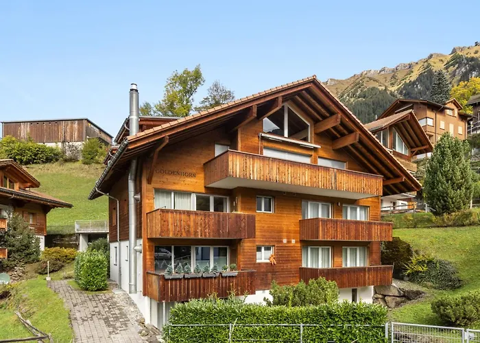 Goldenhorn Apt-f By Interhome Daire Wengen