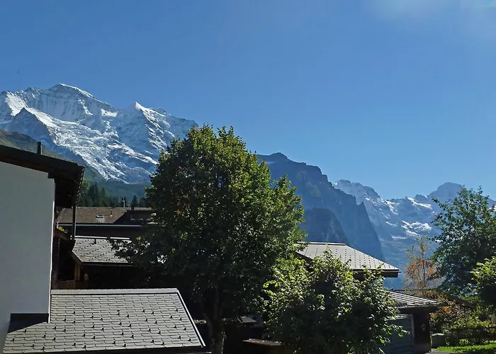 Goldenhorn Apt-f By Interhome * Wengen